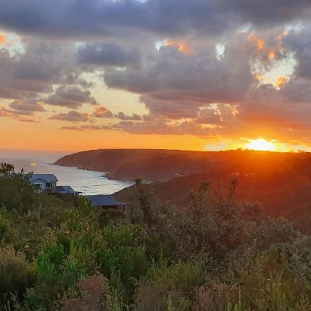 Hakuna Matata Wildernis Exteriör bild