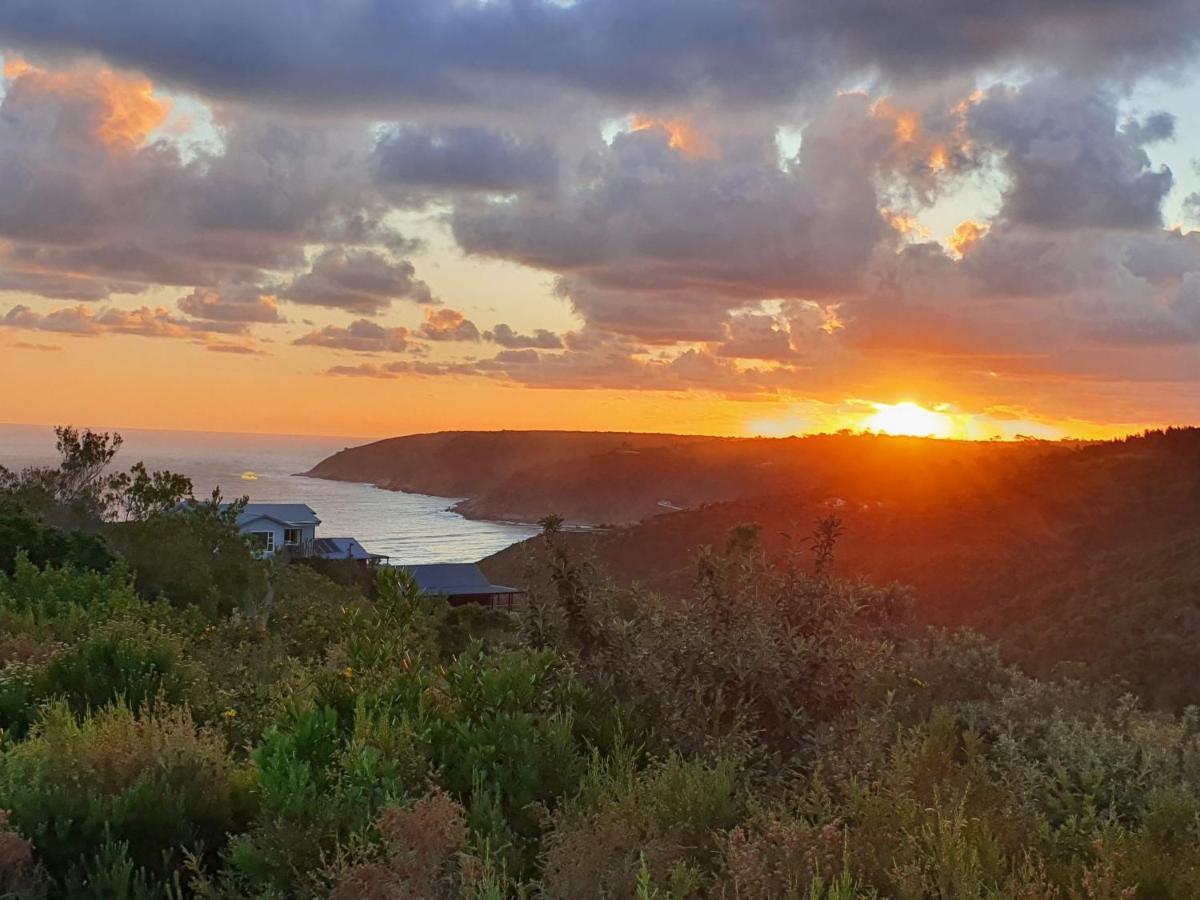 Hakuna Matata Wildernis Exteriör bild